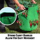 kmerlife grow bags with strong carry handles