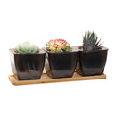 3.4 Inch 3 Packs Plastic Planter Pot