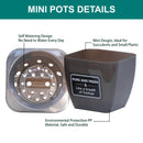 3.4 Inch 3 Packs Plastic Planter Pot