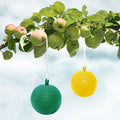 Hanging Fly Trap Ball Fruit Fly Catche