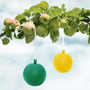 Hanging Fly Trap Ball Fruit Fly Catche