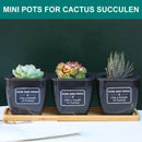 3.4 Inch 3 Packs Plastic Planter Pot