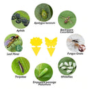 Yellow Sticky Traps/Insect Catcher 30 PCS