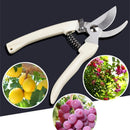 Stainless Steel Scissors Garden Snips