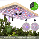 12 Plant Pots Hydroponics Growing System