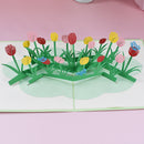 3D Tulip Pop Up Flower Greeting Cards