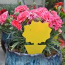 Yellow Sticky Traps/Insect Catcher 30 PCS
