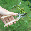 Stainless Steel Scissors Garden Snips