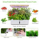 12 Plant Pots Hydroponics Growing System