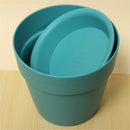 blue garden plantflower pots with tray