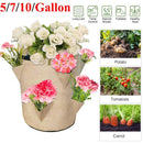 10 gallon kmerlife grow bags for flower