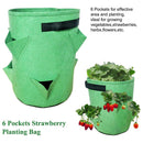 green grow plant bags for vegetables