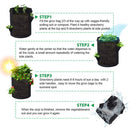 instruction for using kmerlife grow bags