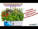 12 Plant Pots Hydroponics Growing System