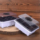 kmerlife 12 cells seeding starter tray
