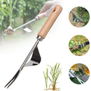 kmerlife weeder
