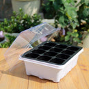 kmerlife 12 cells seeding tray