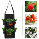 kmerlife growing bags for tomato