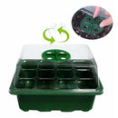 kmelife growing tray with lids