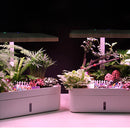 12 Plant Pots Hydroponics Growing System