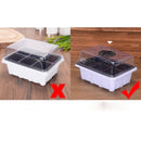 kmerlife seeding tray with lids