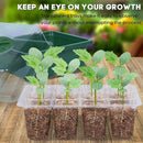 kmerlife white transparent seeding trays