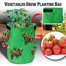 vegetables grow planting bags