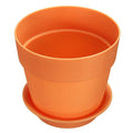 orange garden plant flowerpots kmerlife