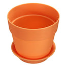 orange garden plant flowerpots kmerlife