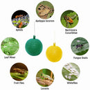 Hanging Fly Trap Ball Fruit Fly Catche