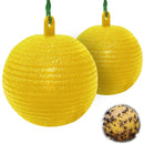 Hanging Fly Trap Ball Fruit Fly Catche