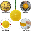 Hanging Fly Trap Ball Fruit Fly Catche